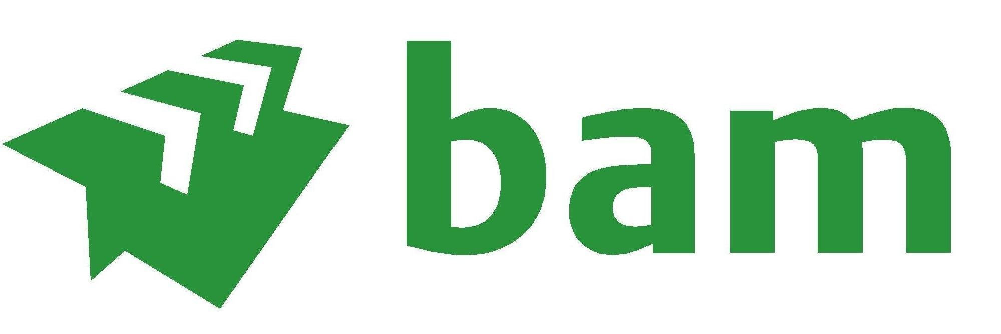 BAM-logo-secondary